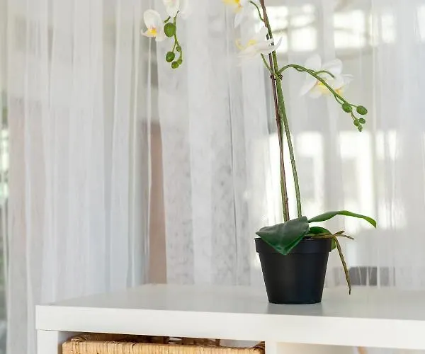 公寓 Espectacular Loft En Centrico Edificio Singular 曼雷沙